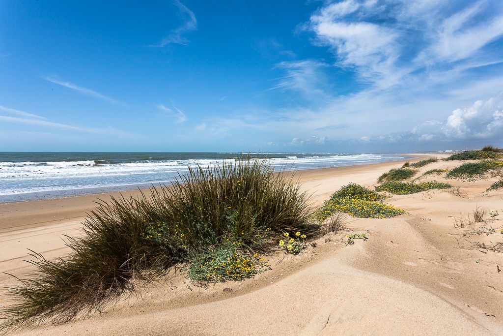 playa-de-la-bota-punta-umbria-compressor